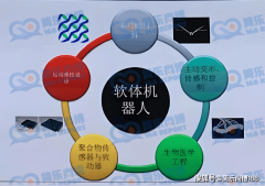 行业查询拜访：2024年全球软体机械人市场规模大