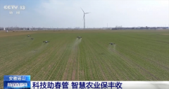 <b>“丰”景正在望 聪慧农机、科学农技为小麦春督</b>