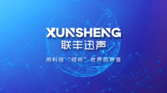 <b>联丰迅声完成新一轮融资以声学AI定义智能运维新</b>